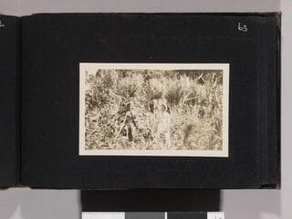 Go to image 65.