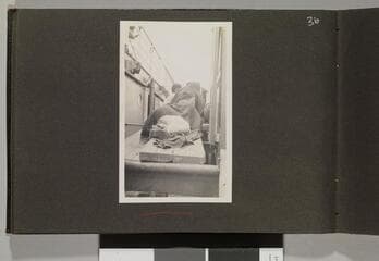 Go to image 38.