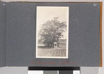 Go to image 49.