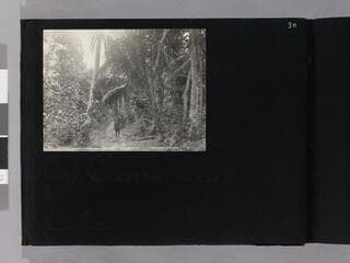Go to image 32.