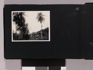 Go to image 100.