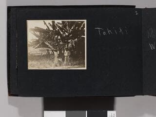 Go to image 4.