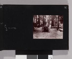 Go to image 27.