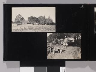 Go to image 40.