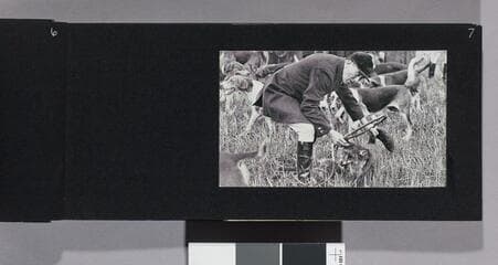 Go to image 9.