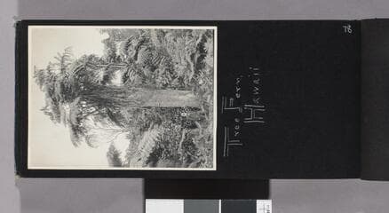 Go to image 80.