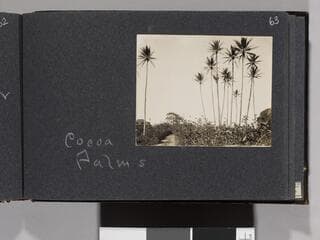 Go to image 65.