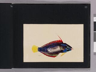 Go to image 29.