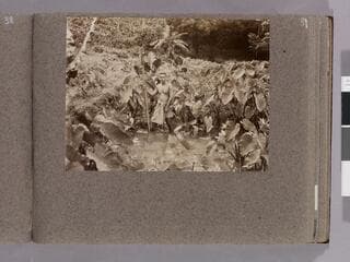 Go to image 41.