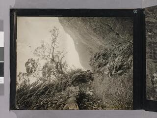 Go to image 90.