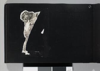 Go to image 64.
