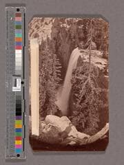 Go to image 1.