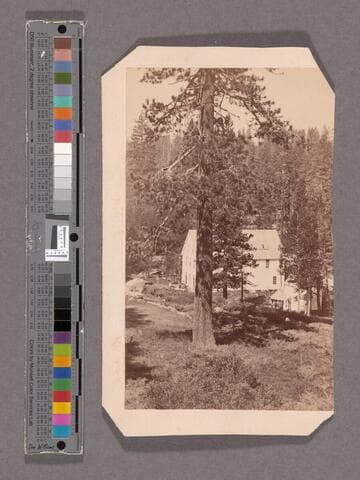 Soda Springs