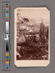 Go to image 1.