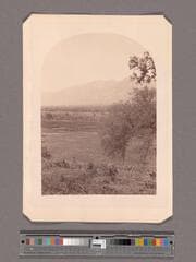 Go to image 1.
