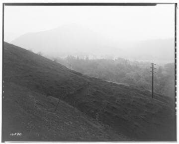 Distribution Lines