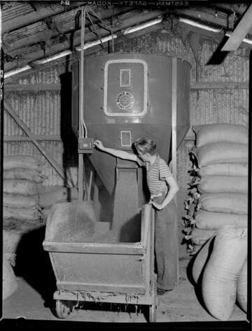 Feed mixer