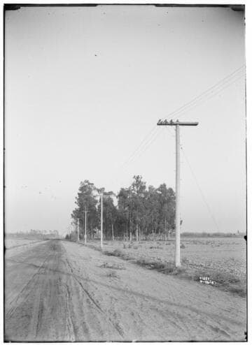 Distribution Lines