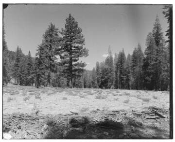 Big Creek Scenery