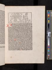 Go to image 55.