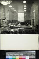 Go to image 33.