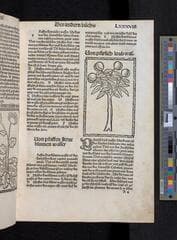 Go to image 217.