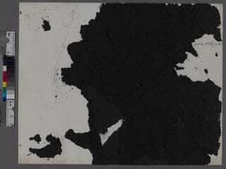 Go to image 2.