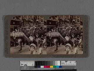 Go to image 1.