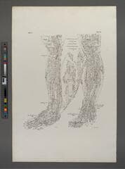 Go to image 311.