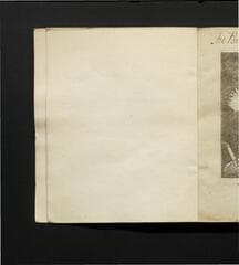 Go to image 4.