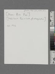 Go to image 2.