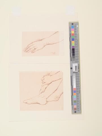 Left Hand Study