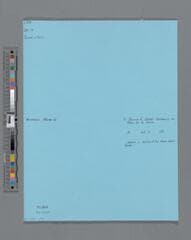 Go to image 45.