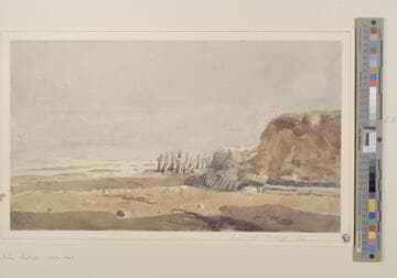 Hastings Beach