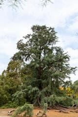 Go to image 6.