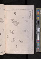 Go to image 260.