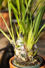 Go to image 2.