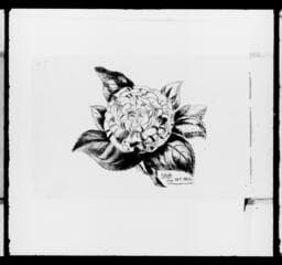 Go to image 401.