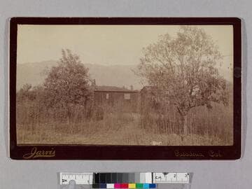 Wooden shacks