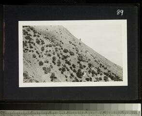 Go to image 91.