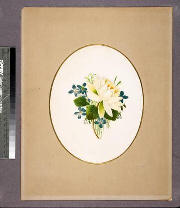 Bouquet no. 8