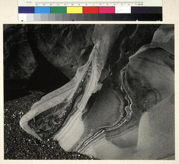Point Lobos