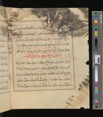 Go to image 174.