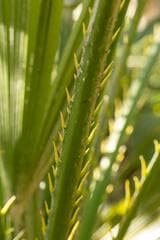 Go to image 18.