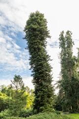 Go to image 9.