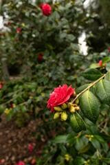 Go to image 6.