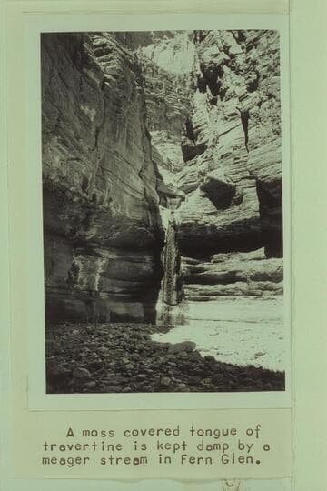 Fern Glen Canyon