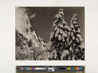 Go to image 1.