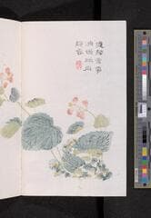 Go to image 172.