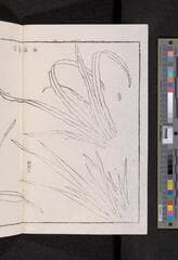 Go to image 64.